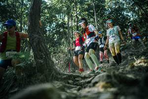 BIB: 
                            <button type="button" onclick="openModal(25990758)" class="btn btn-primary btn-sm float-right btn-popup" data-toggle="modal" data-target=".modal-high-quality">
                        <i class="fas fa-shopping-cart"></i> Add to Cart
                    </button>
                                            <button type="button" onclick="isThisMe(25990758, true)" class="btn btn-success btn-sm float-right btn-popup btn-isme hidden" data-toggle="tooltip" data-placement="bottom" title="นี่คือรูปของคุณใช่ไหม คลิกที่นี่เพื่อเอาเข้าอัลบั้ม">
                        <i class="fas fa-plus"></i> Add to album
                    </button>
                    <button type="button" onclick="isThisMe(25990758, false)" class="btn btn-warning btn-sm float-right btn-popup btn-isnotme hidden">
                        <i class="fas fa-ban"></i> Remove from album
                    </button>